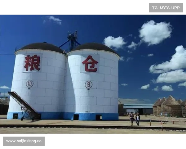 中国在南美投资建设巨型码头推动粮食供应链重塑确保替代美国粮食进口 中国在南美投资建设巨型码头推动粮食供应链重塑确保替代美国粮食进口